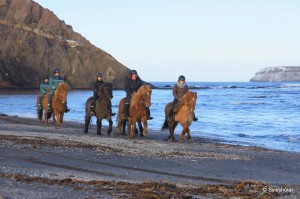 Kaldbakur Tour 2015 (8)